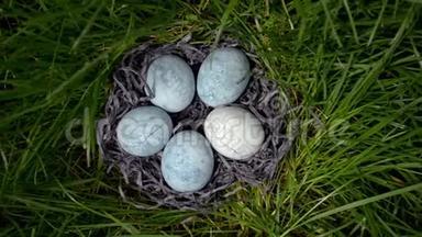 五个蓝色的鸡蛋，涂在茶芙蓉里，放在草地上的<strong>碟</strong>子里的干草里，俯视